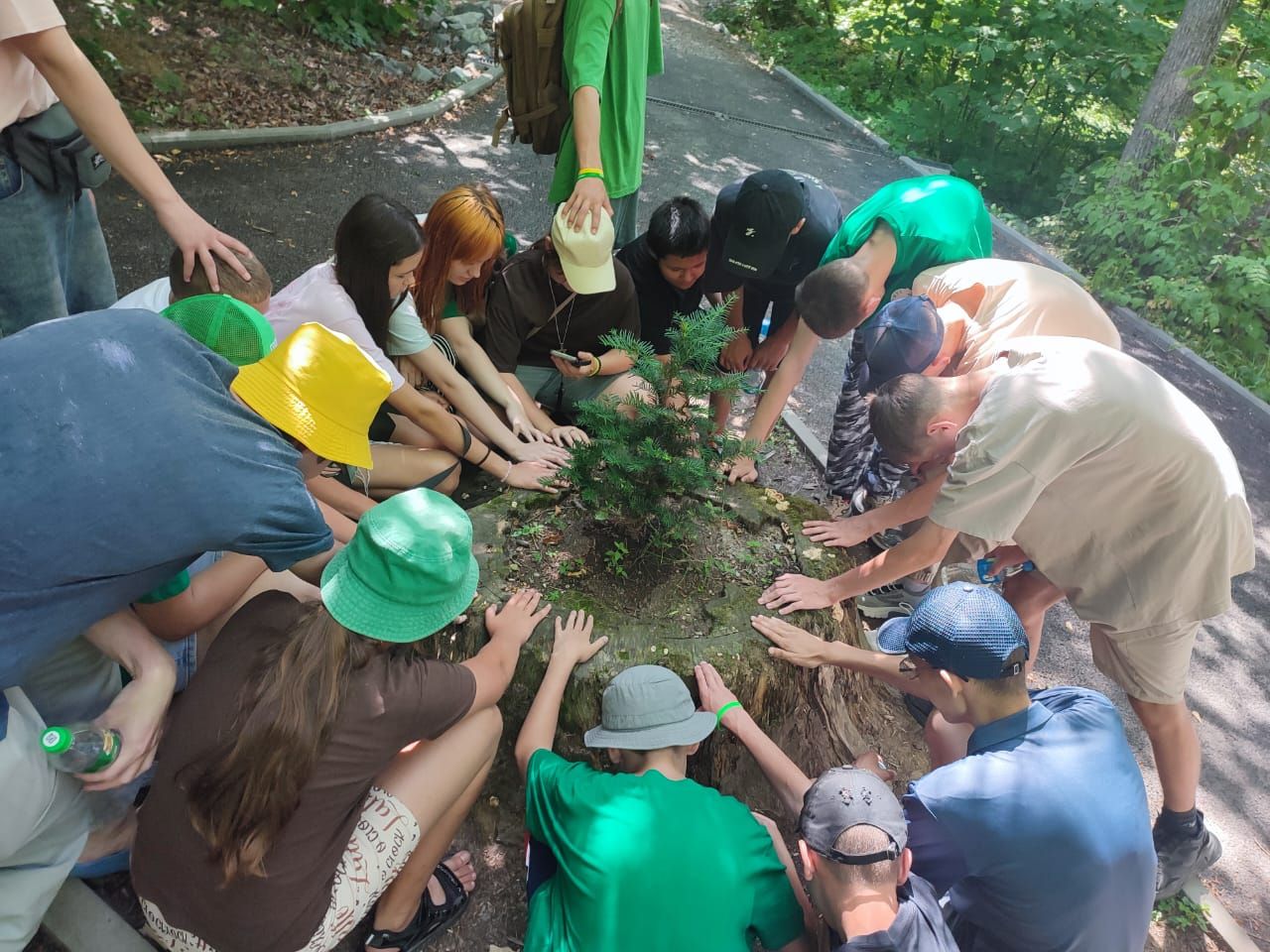 Профильная образовательная программа «Школьные лесничества»